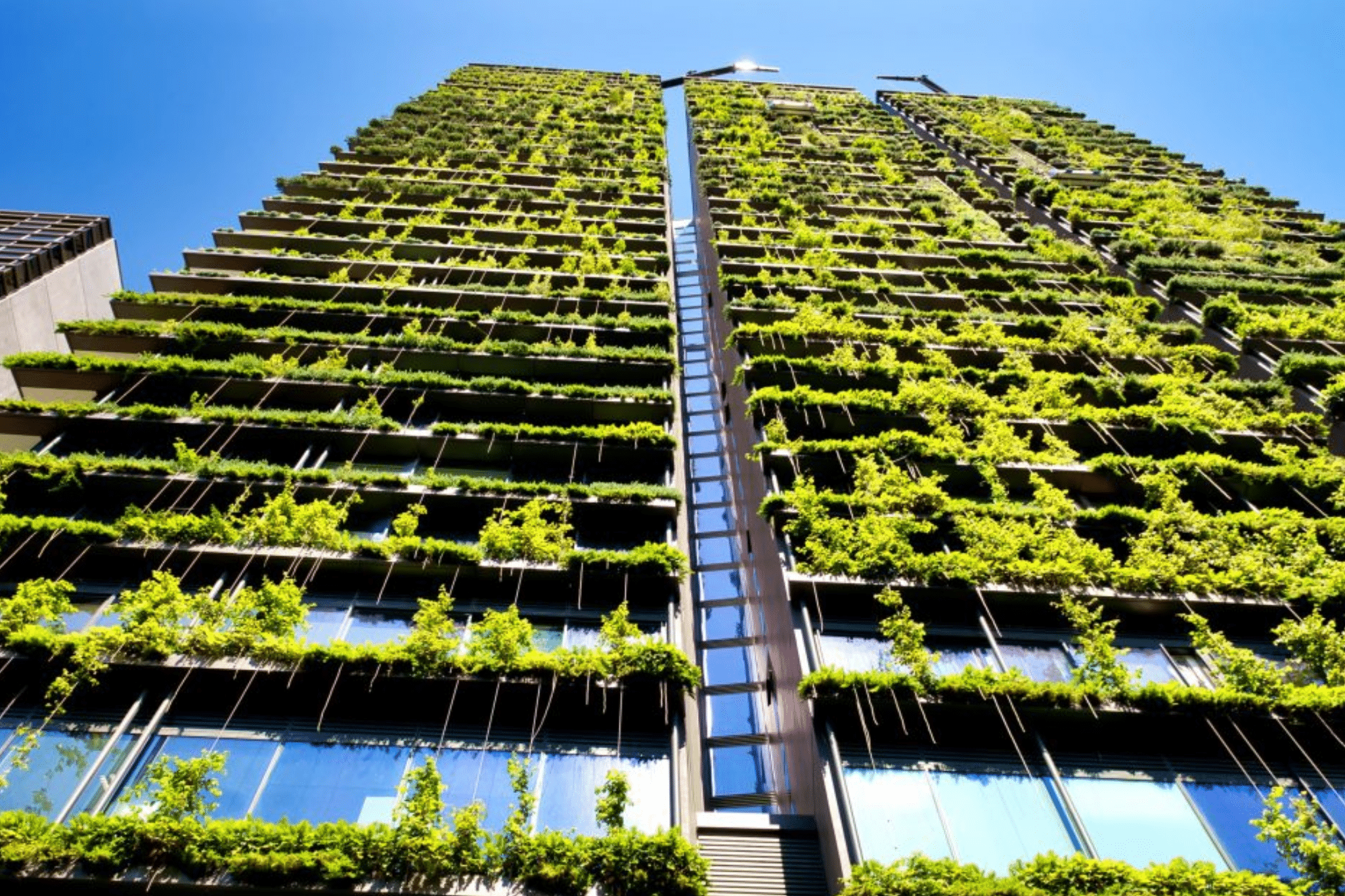 net zero building